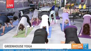 Scranton nonprofit channels good vibes with greenhouse yoga