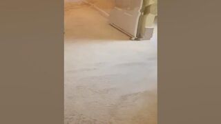 Compass Carpet Repair - Carpet Stretching Wrinkles In Norwood OH 45212