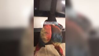 Twerk Compilation Fye Bottom ( vixen volume 1 )