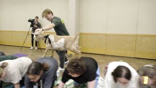 Siena Hosts GOAT YOGA