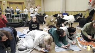 Siena Hosts GOAT YOGA