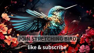 STRETCHING BIRD | birdie brook