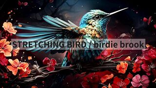 STRETCHING BIRD | birdie brook