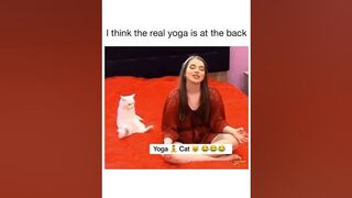 Real yoga done by Cat ????! You can Start doing it too ! #ad #shorts #trending #health #lifestyle