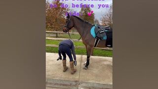 Stretches you should do with you horse before you ride.????Read the descriptionto know why.#horse