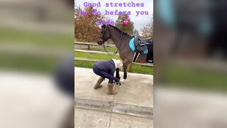 Stretches you should do with you horse before you ride.????Read the descriptionto know why.#horse