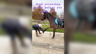 Stretches you should do with you horse before you ride.????Read the descriptionto know why.#horse