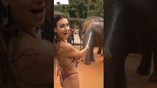 Elephant spa day! Bikinis and elephants… great pair! #elephant #bikini #thailand