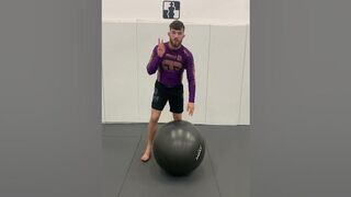 3 Must Do BJJ Exercises With A Yoga Ball