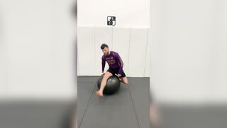 3 Must Do BJJ Exercises With A Yoga Ball