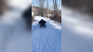 Making good use of icy drive on a genuine flexible flyer. #daddydaughter #sledding #flexibleflyer