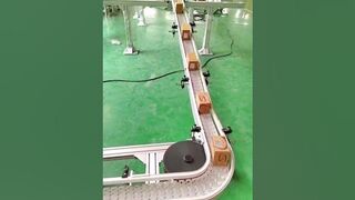 High quality flexible chain conveyor