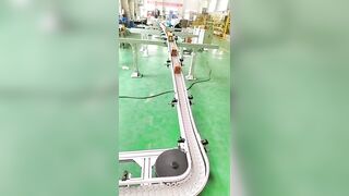 High quality flexible chain conveyor