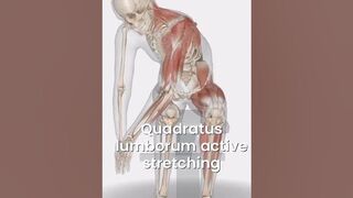 "Unlock Your Core: Quadratus Lumborum Stretching Routine for Back Relief" #stretching
