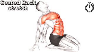 Stretching Before or After Exercise ???????? Chest, Abs, Arms and Legs Exercises