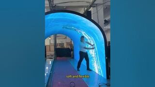 Flexible LED display