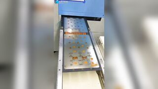Flexible PCB Assembly