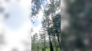 Tree stretching its limbs toward the azure heavens #tree #heaven #green #blue #blend