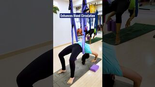 Elevate Your Practice With Chakrasana In Aerial Yoga