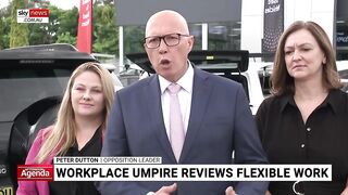 Workplace umpire reviews flexible work