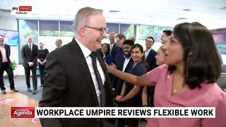 Workplace umpire reviews flexible work