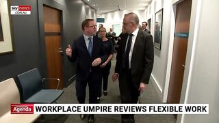 Workplace umpire reviews flexible work