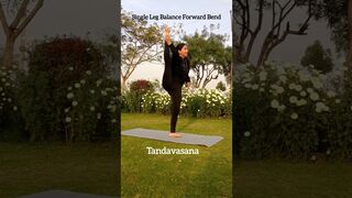 Single Leg Balancing Yoga Poses #yoga #shorts #shiv