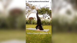 Single Leg Balancing Yoga Poses #yoga #shorts #shiv