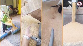 Most offordable Grain Siction & Conveying Machines | Grain fill Machines | flexible Screw Conveyors