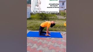 animal yoga poses #yoga #fitness #flexibility #tranding #viral #youtubeshorts #detox #weightloss #ab