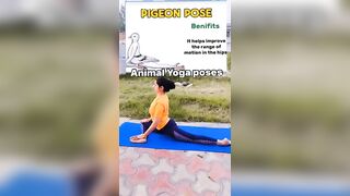 animal yoga poses #yoga #fitness #flexibility #tranding #viral #youtubeshorts #detox #weightloss #ab