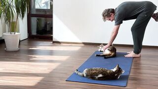 The cats came to the gym and will do yoga