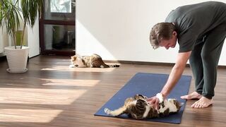 The cats came to the gym and will do yoga