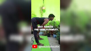 stretching for spine flexibility