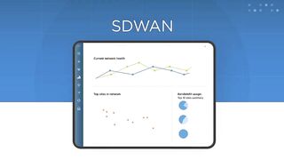 SDWAN as a Service (SDWANaaS): Fastest and flexible way to modernize your network