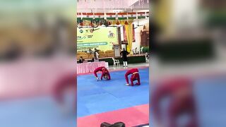 Rythmic Yoga at 4th women’s National Yogasana Sports Championship 2023-24 at Amroha , Pradesh.