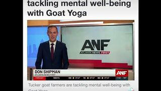 Goat Yoga and Mental Health / AtlantaNewsFirst #mentalhealth #goatyoga #pets #animals #interactions