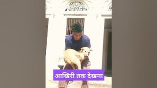 DOG BoDY Flexible LIFE || And Amezing recet || ????????????#experiment #science #viral #dog #cat ????