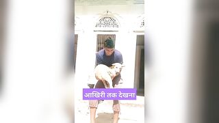 DOG BoDY Flexible LIFE || And Amezing recet || ????????????#experiment #science #viral #dog #cat ????