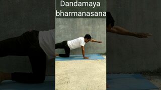 Dandmaya Bharmansasana | #workout #yoga #youtube #yogaandfitnesswithshiva #trending