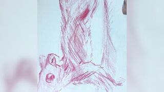 Squirrel Stretching Speed Draw