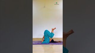 Sarvangasana - Halasana - Yoga Asana sequence #yogaurmi #urmiyogaacademy #yoga #fitness