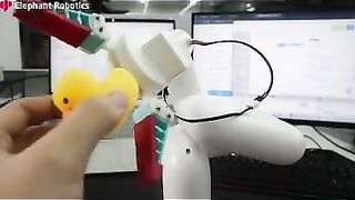 myCobot 280 | Explore the difference between the adaptive gripper and the flexible gripper #robot