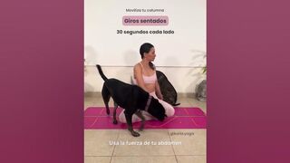 Yoga para principiantes, rutina de 5 minutos????