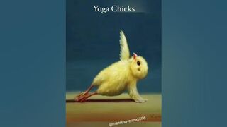 yoga with Chicks ???????? #love #photoshoot #rap #attitude #newsong