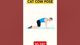 Cat Cow Pose | Stretching Exercise | Yoga | #trending #viral #short #short #shorts