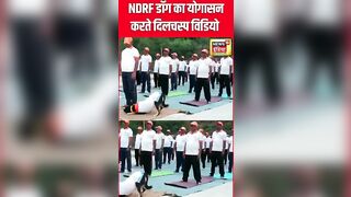 International Yoga Day 2024 : NDRF Dog का योगासन करते Viral Video | Latest News | N18S | #shorts