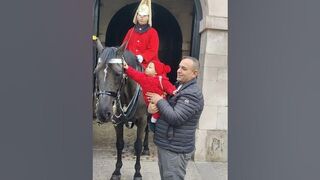 Cute boy stretching himself to touch Royal Guard Horse #shorts #horseguardsparade #london #love