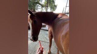 Watch Fantazia stretching for carrots--she's very flexible!