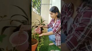 Day 23 /75 hard challenge by vaishali sharma #75hard #the75hardchallenge #viral #yoga #fitness #love